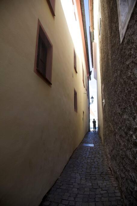 Unesco 14 Century チェスキー クルムロフ エクステリア 写真